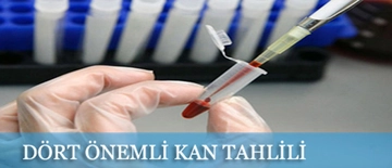 Kan Değerleri Kaç Olmalı?