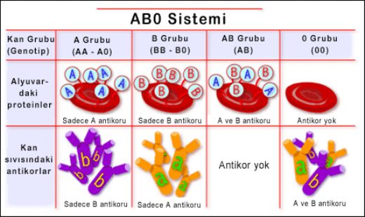 Bebein Kan Grubu