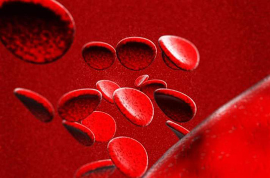 Kan Hücreleri