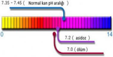 Kanda Ph Yüksekliği